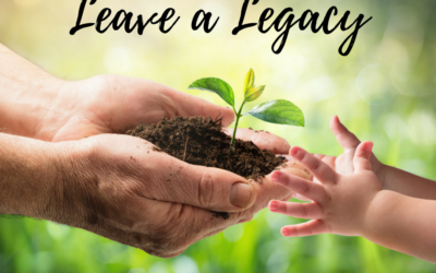 Don’t Have a Lot of Money?  Here Are Seven Ways You Can Still Leave Your Family a Great Legacy